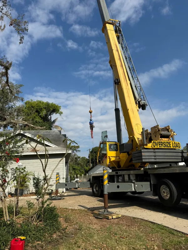 Top 10 Signs You Need Tree Removal